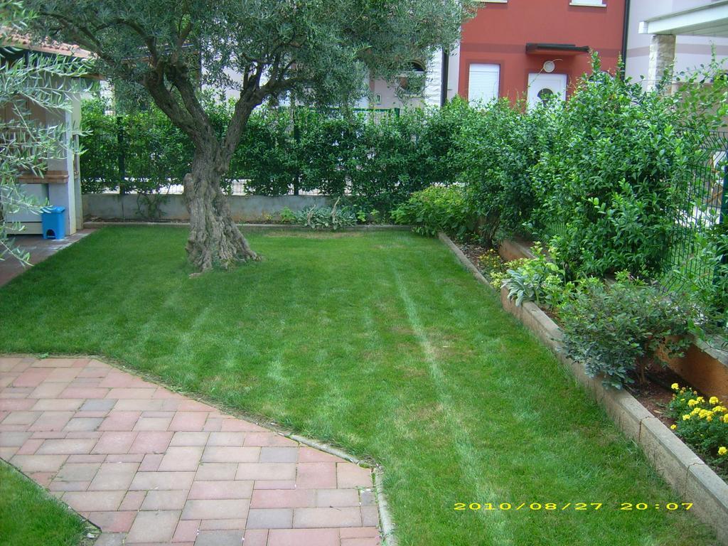 Apartments Daniela Novigrad Istria Εξωτερικό φωτογραφία