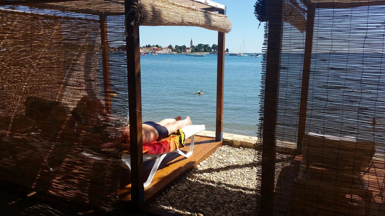 Apartments Daniela Novigrad Istria Εξωτερικό φωτογραφία